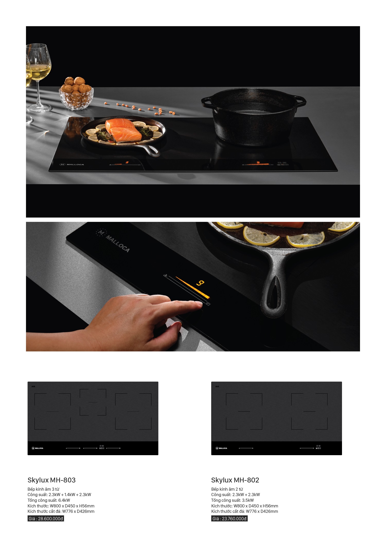 Bộ sưu tập bếp từ skylux